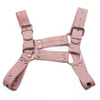 Load image into Gallery viewer, Stupid Cute Bulldog Harness